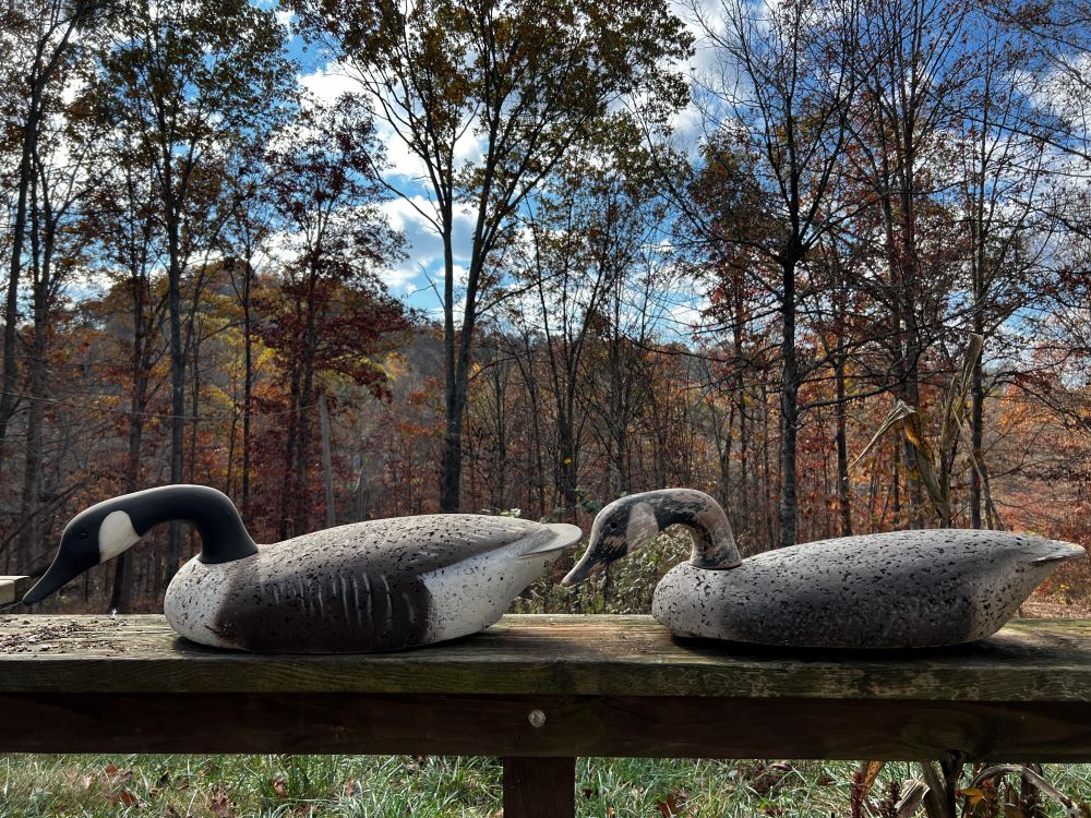 Used canada goose clearance decoys for sale